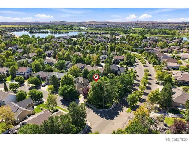243 Cattail Windsor, CO 80550