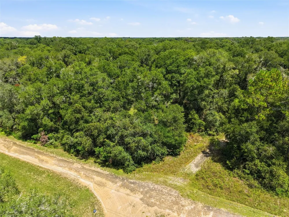 Lot 11 NW 164TH STREET Fanning Springs, FL 32693