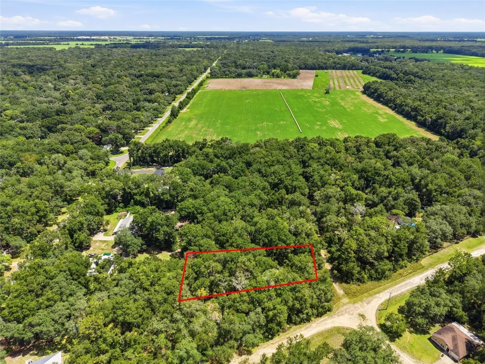 Lot 11 NW 164TH STREET Fanning Springs, FL 32693