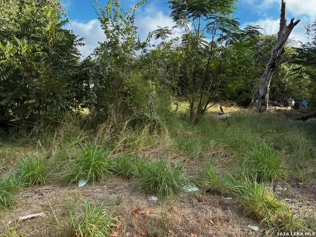 4245 Lonesome Von Ormy, TX 78073