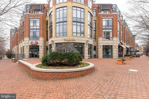 520 JOHN CARLYLE STREET #232