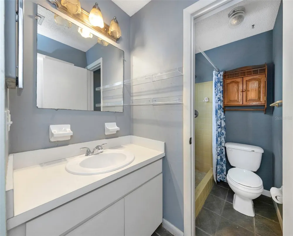 17704 RIVENDEL ROAD Lutz, FL 33549