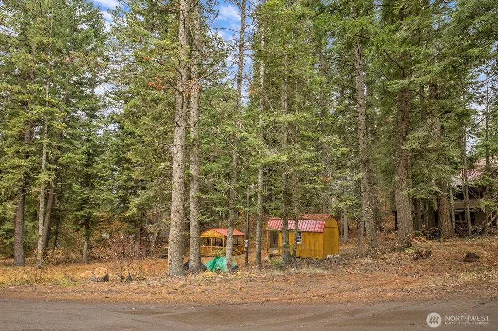 1211 Pine Loch Sun Drive Ronald, WA 98940