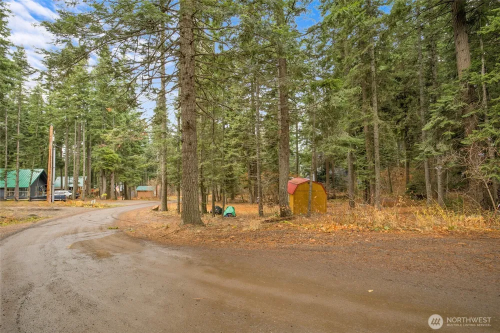 1211 Pine Loch Sun Drive Ronald, WA 98940