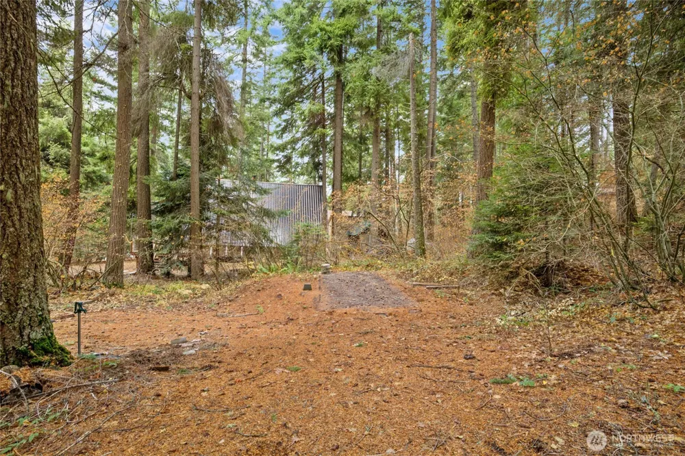 1211 Pine Loch Sun Drive Ronald, WA 98940