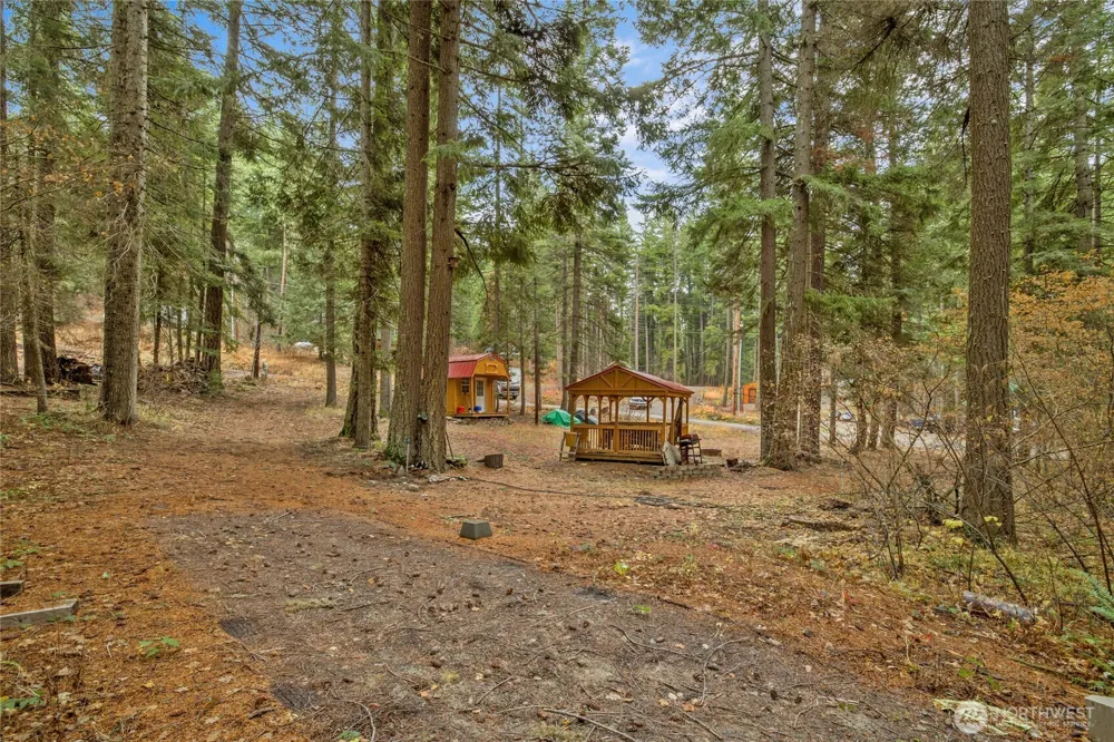 1211 Pine Loch Sun Drive Ronald, WA 98940