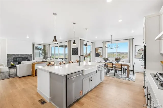 13272 Finnhorse Street Parker, CO 80134