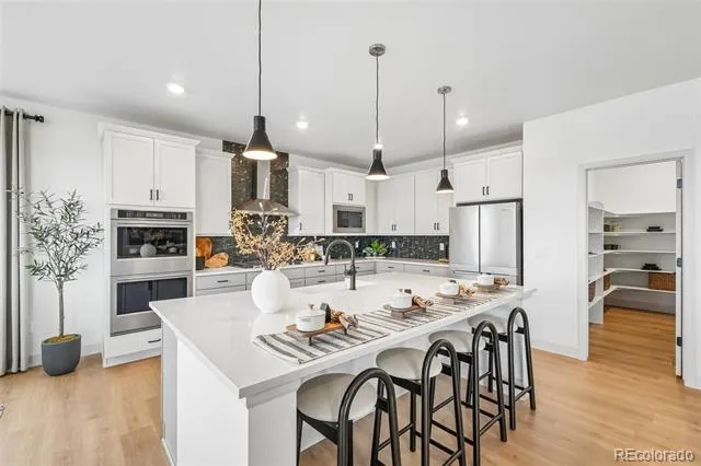 13272 Finnhorse Street Parker, CO 80134