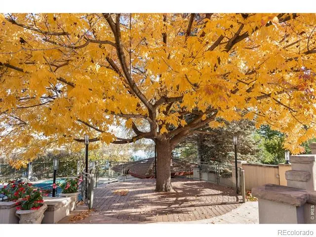 7009 Rozena Drive Longmont, CO 80503