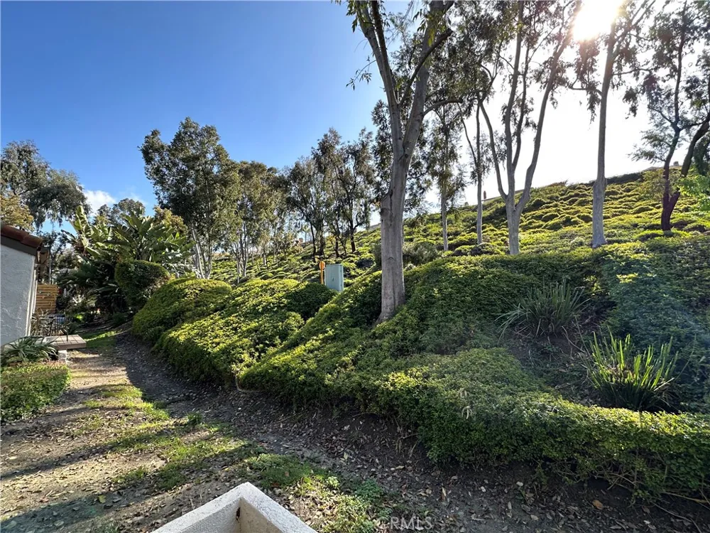 26626 Guadiana Mission Viejo, CA 92691