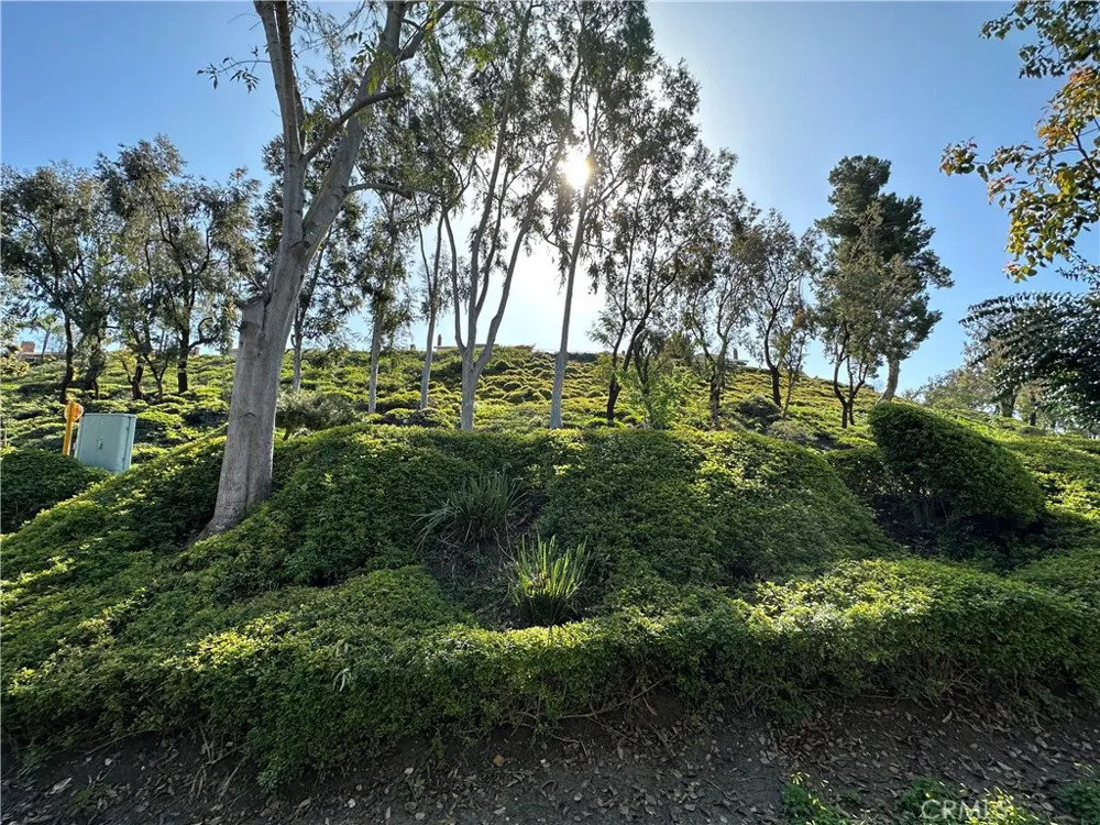 26626 Guadiana Mission Viejo, CA 92691