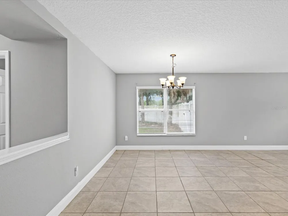 7335 BRIDGEVIEW DRIVE Wesley Chapel, FL 33545