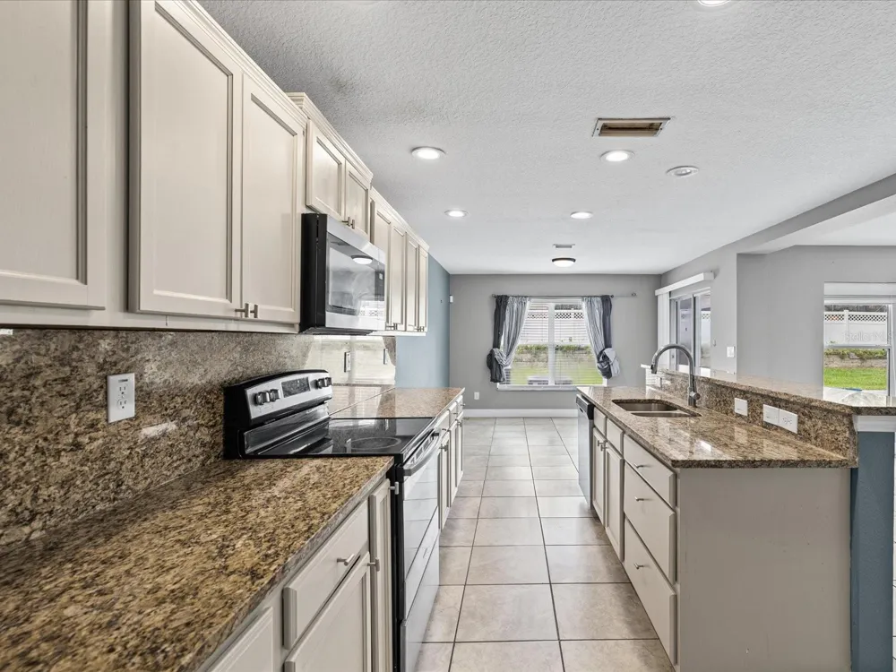 7335 BRIDGEVIEW DRIVE Wesley Chapel, FL 33545