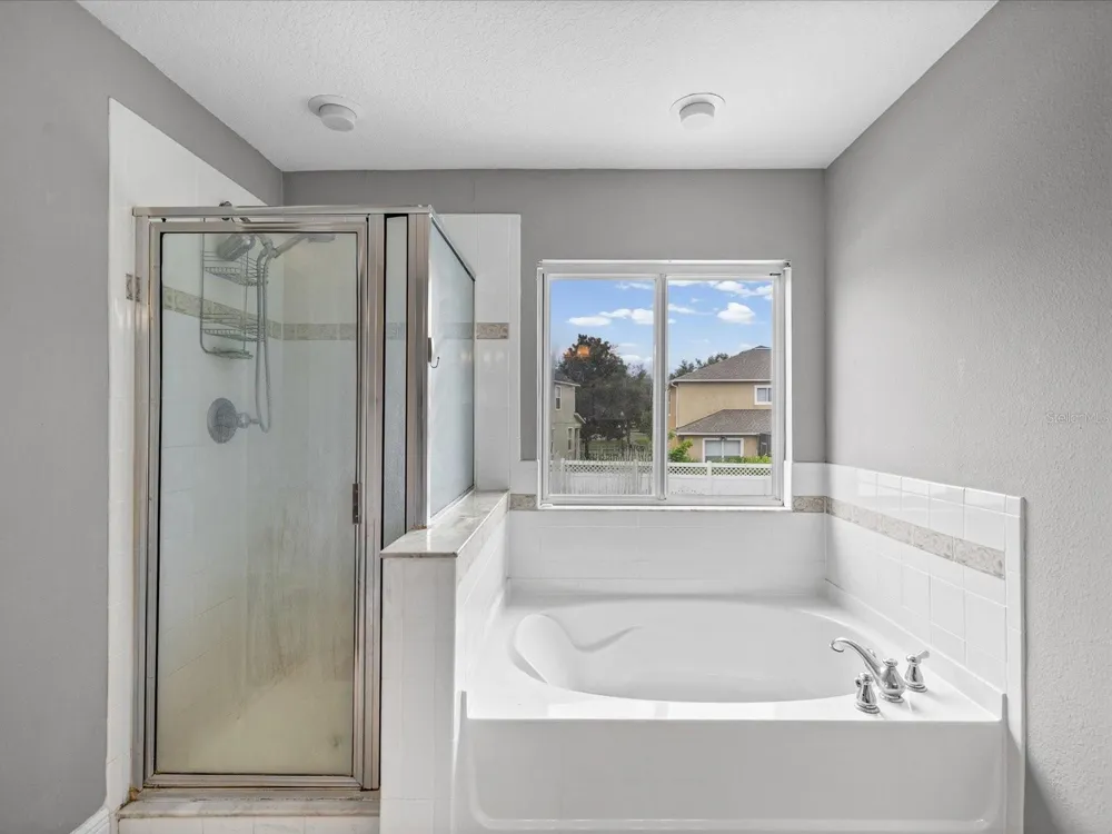 7335 BRIDGEVIEW DRIVE Wesley Chapel, FL 33545