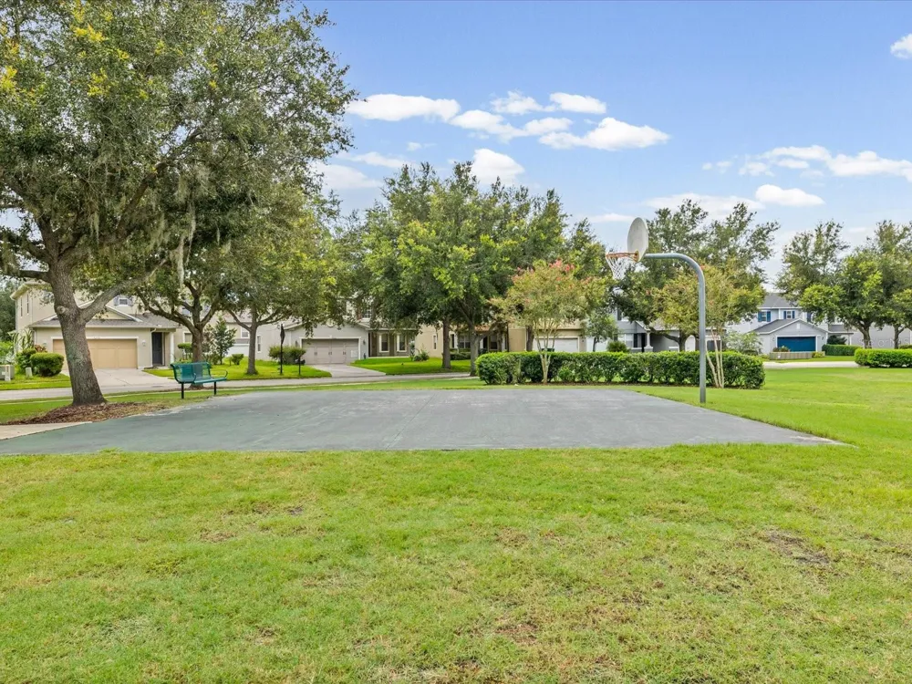 7335 BRIDGEVIEW DRIVE Wesley Chapel, FL 33545