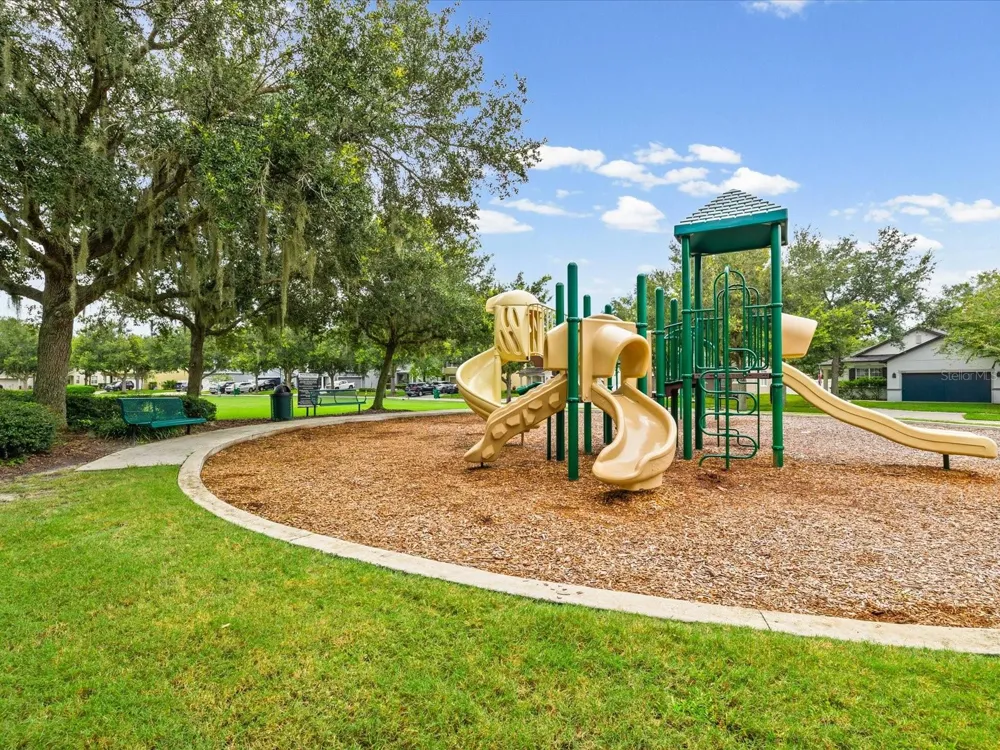 7335 BRIDGEVIEW DRIVE Wesley Chapel, FL 33545