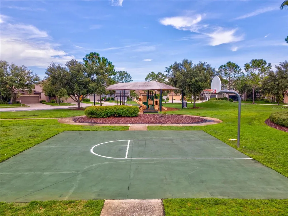 7335 BRIDGEVIEW DRIVE Wesley Chapel, FL 33545