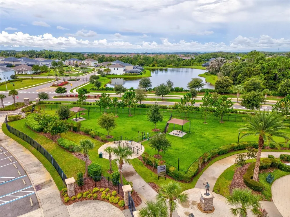 7335 BRIDGEVIEW DRIVE Wesley Chapel, FL 33545
