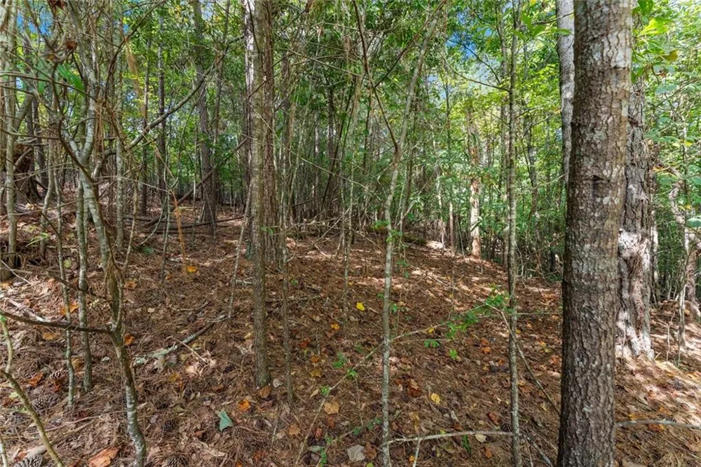 5626 Cool Springs Road Gainesville, GA 30506