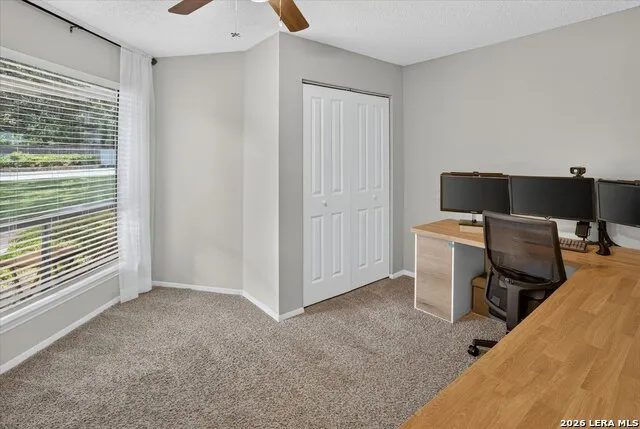 8343 Timber Grand San Antonio, TX 78250