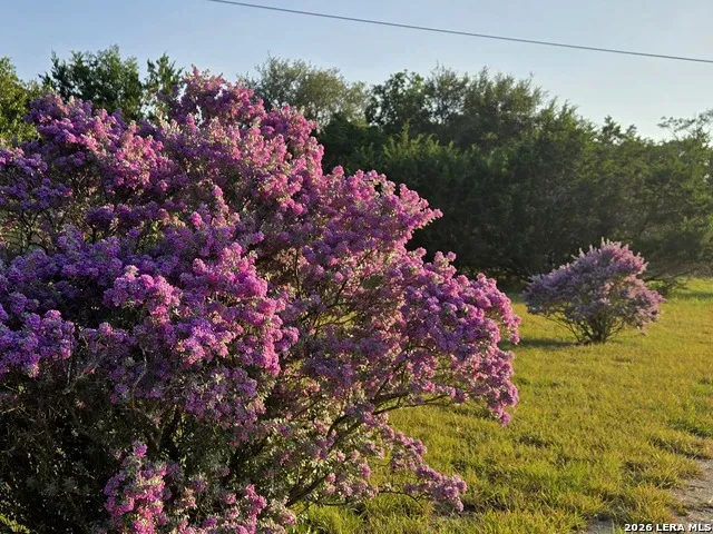 230 rocky top Medina, TX 78055