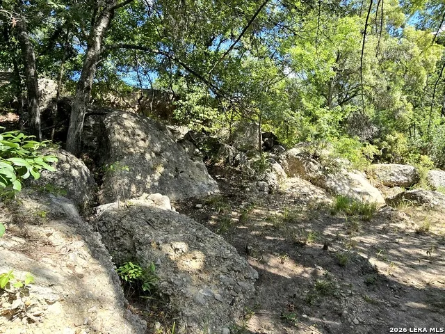 230 rocky top Medina, TX 78055