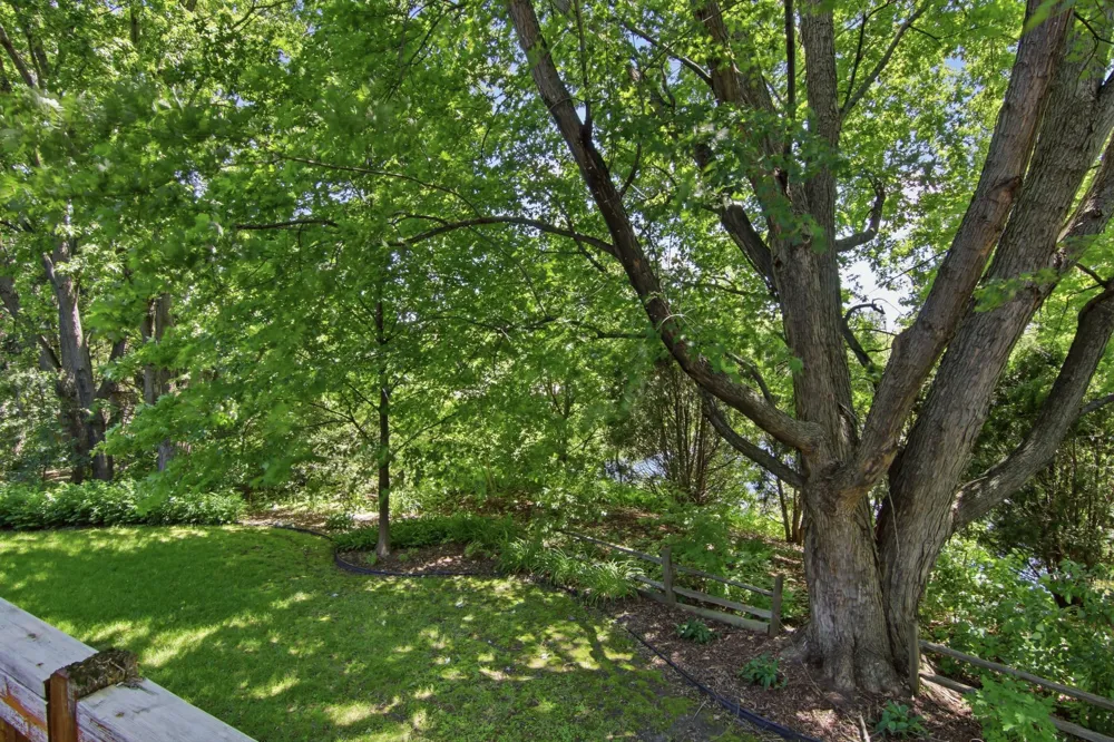 9953 Starlight Drive Woodbury, MN 55125