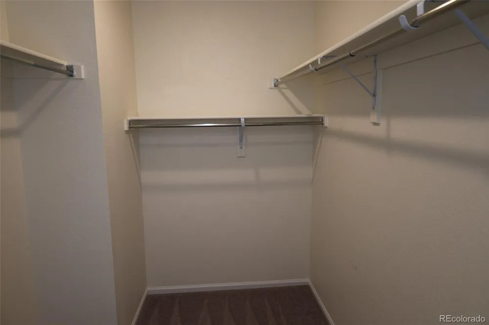 6517 Cathay Street Denver, CO 80249