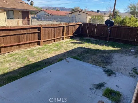 74017 Cactus