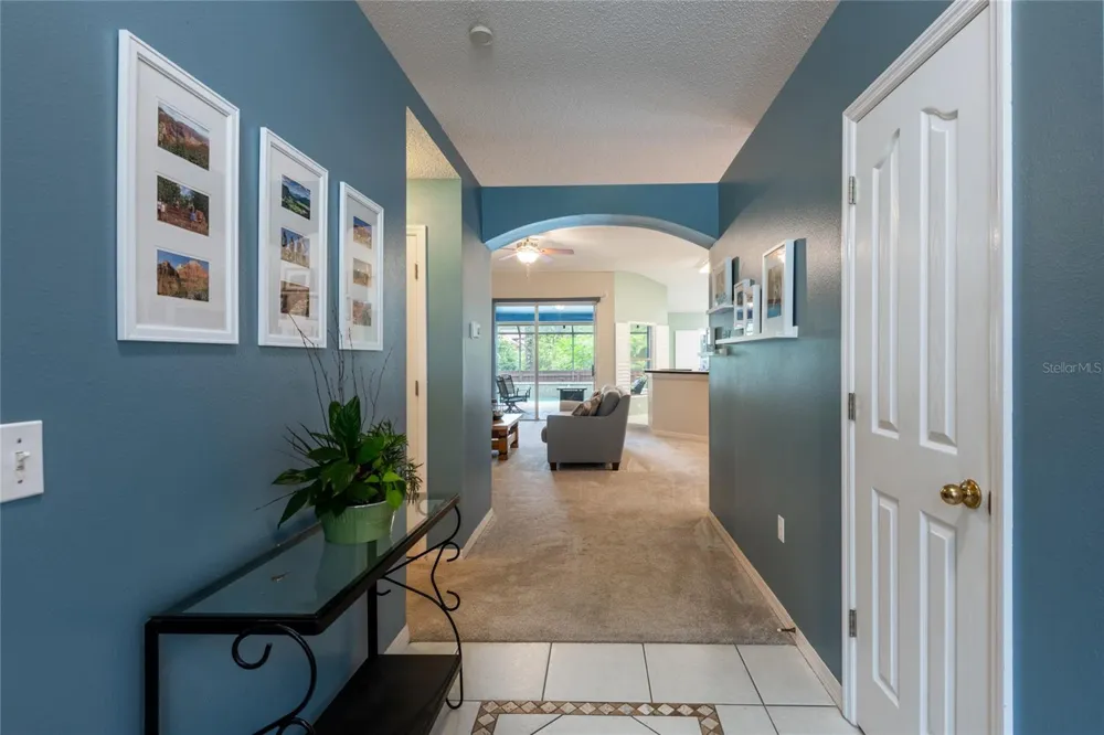 10274 OASIS PALM DRIVE Tampa, FL 33615