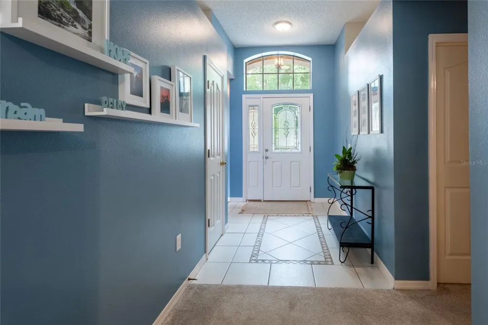 10274 OASIS PALM DRIVE Tampa, FL 33615