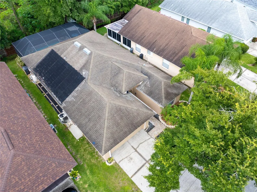 10274 OASIS PALM DRIVE Tampa, FL 33615