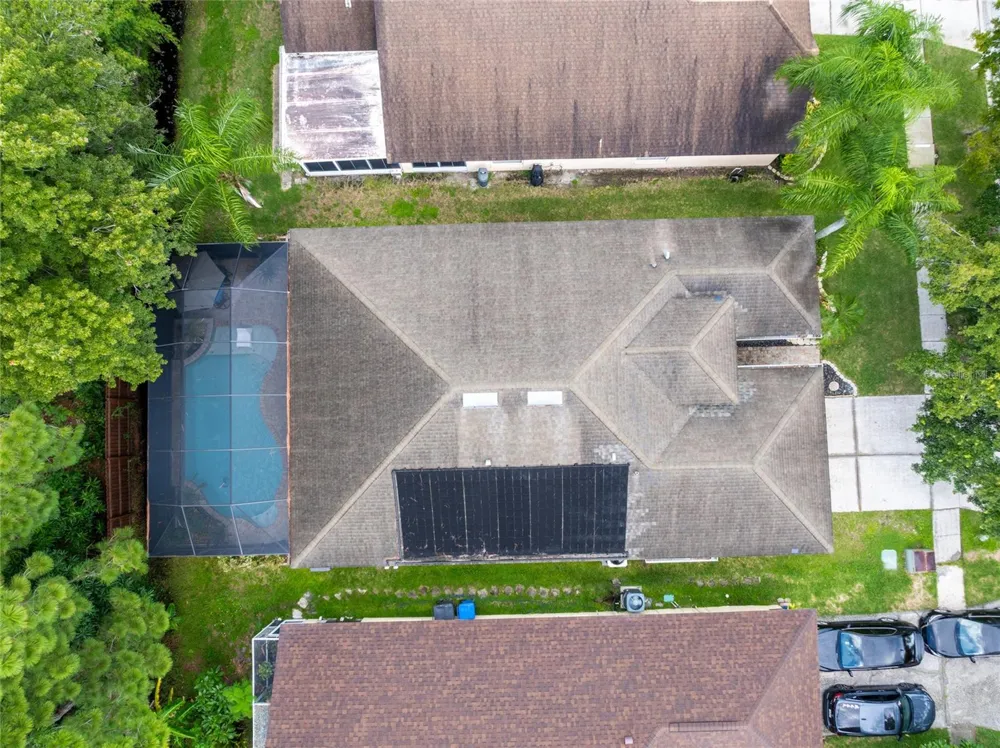 10274 OASIS PALM DRIVE Tampa, FL 33615