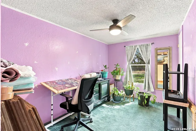 360 BRANDON WAY Poteet, TX 78065