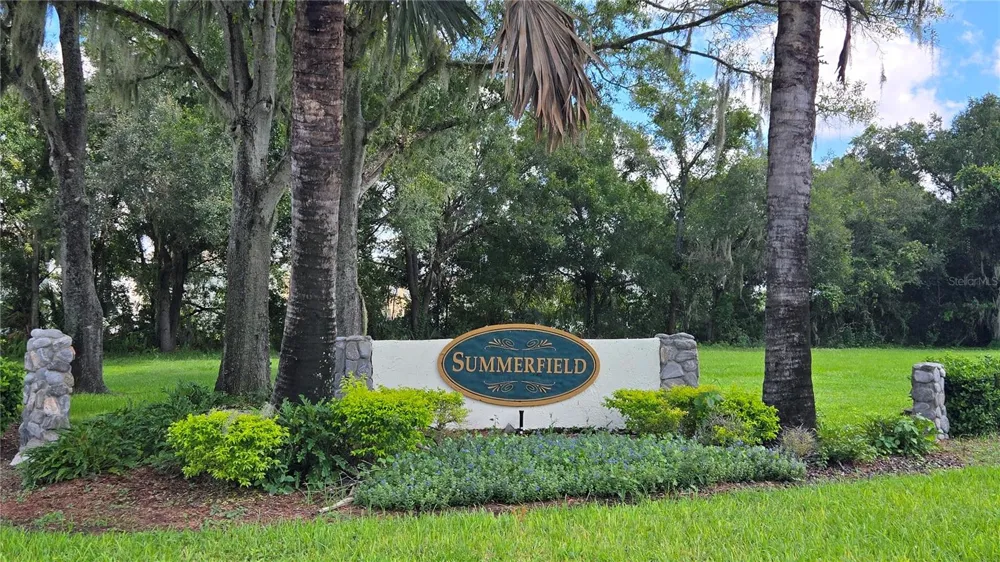 11219 FIDDLEWOOD DRIVE Riverview, FL 33569