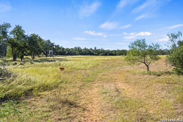 307 GOLD SCHAEFER RD Fredericksburg, TX 78624