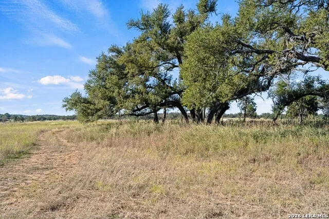 307 GOLD SCHAEFER RD Fredericksburg, TX 78624