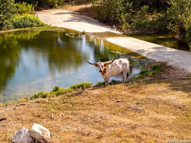259 Gate Road Pipe Creek, TX 78063