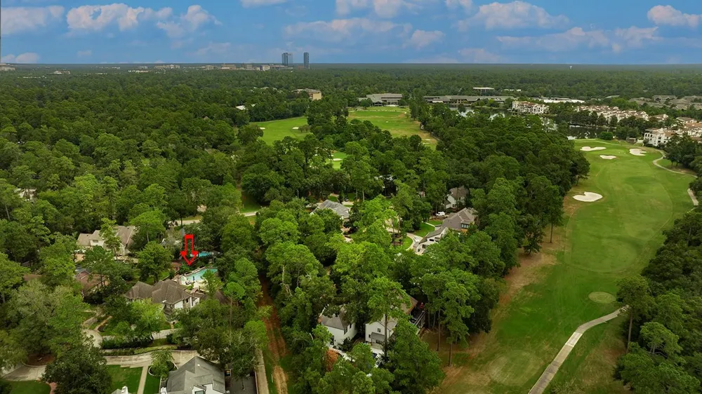 16 Wild Ginger Court The Woodlands, TX 77380