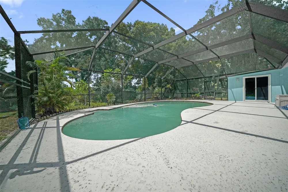22002 DARLEY PLACE Land O Lakes, FL 34639