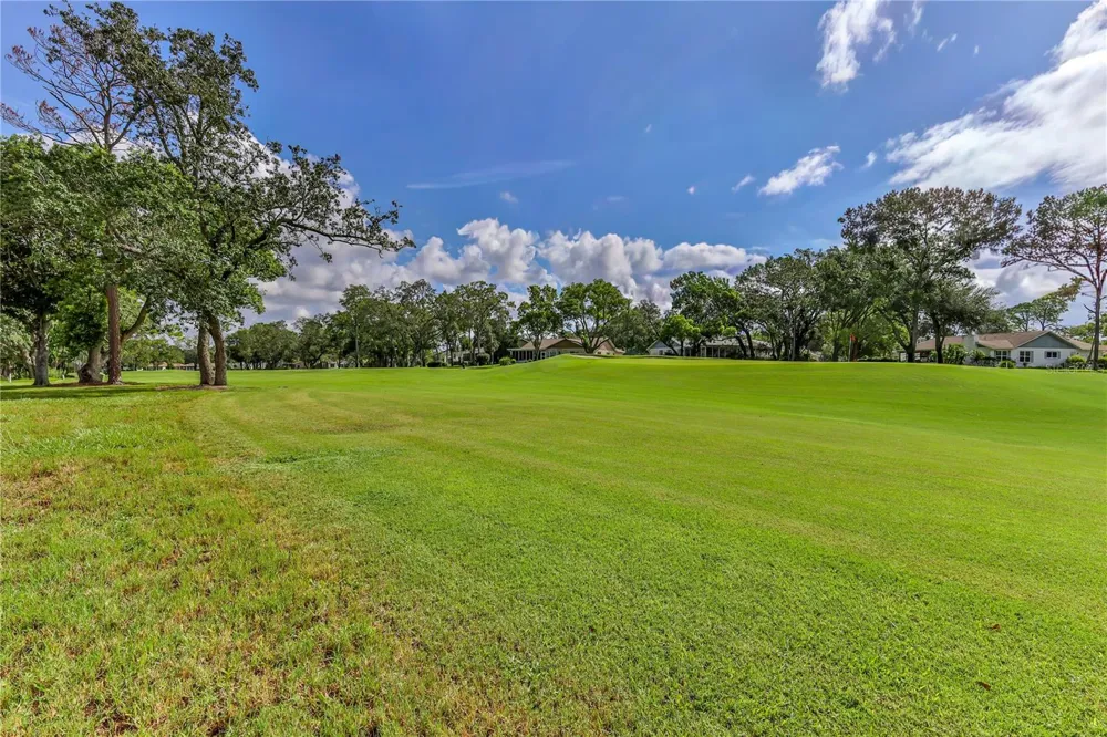 2376 BENT PINE COURT Spring Hill, FL 34606
