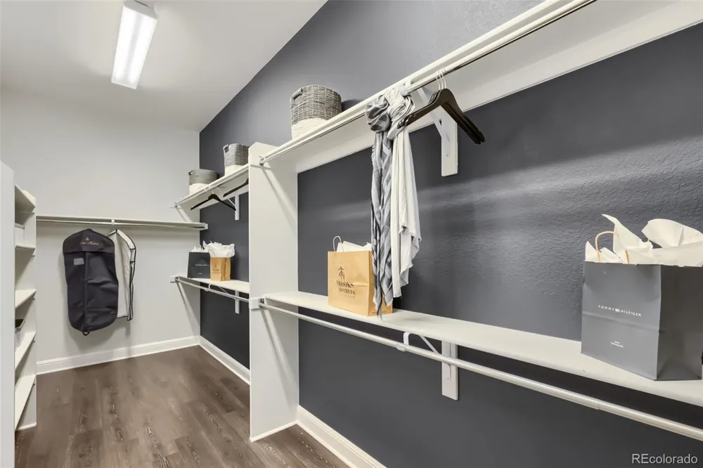 215 Alumroot Street Castle Rock, CO 80104