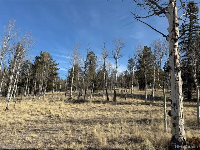 32 Sugar Loaf Lane Jefferson, CO 80456