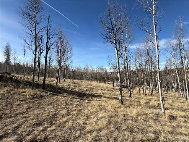 32 Sugar Loaf Lane Jefferson, CO 80456