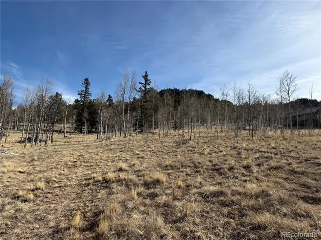 32 Sugar Loaf Lane Jefferson, CO 80456