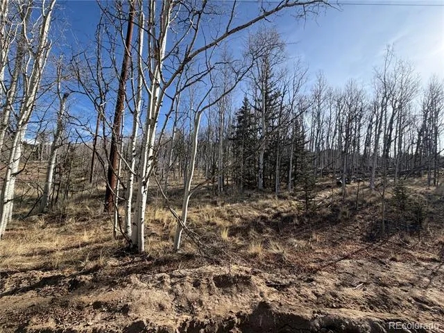 32 Sugar Loaf Lane Jefferson, CO 80456