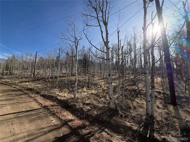 32 Sugar Loaf Lane Jefferson, CO 80456