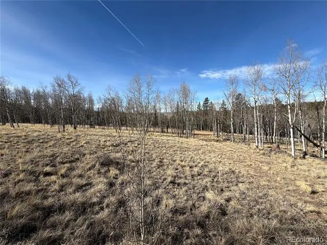 32 Sugar Loaf Lane Jefferson, CO 80456