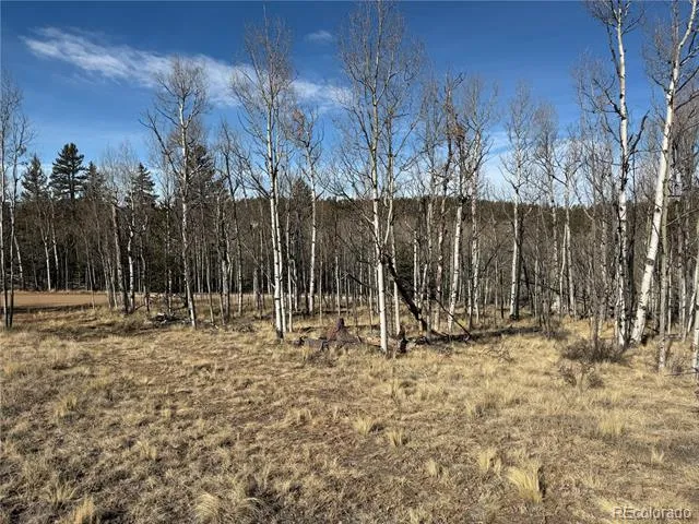 32 Sugar Loaf Lane Jefferson, CO 80456