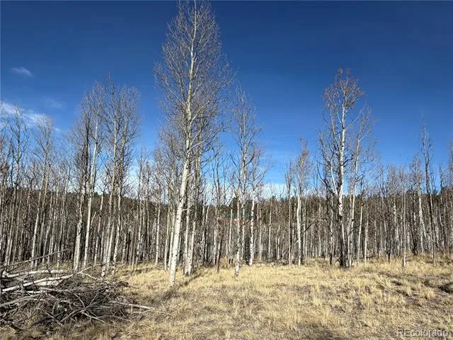 32 Sugar Loaf Lane Jefferson, CO 80456